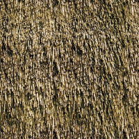 Thatch 2
