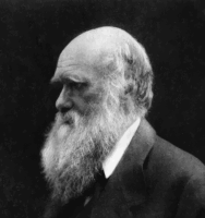Charles Darwin 2