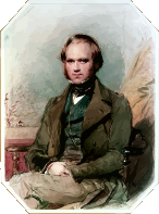 Charles Darwin 3
