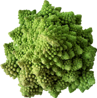 Cauliflower 2