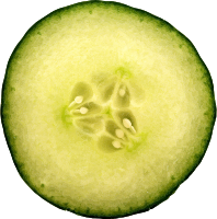 Cut cucumber