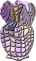 Vase 32 variant