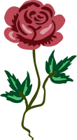 Rose 17
