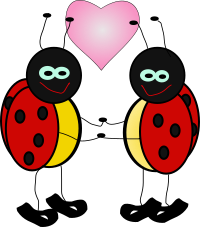 lady bugs