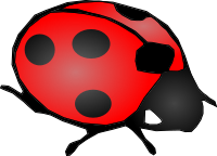 lady bug