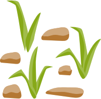 Grass and Rocks