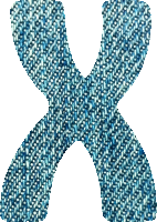 Denim alphabet, X