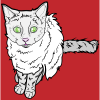 White Cat on Red Background 