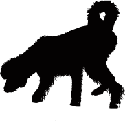 Shaggy Wet Dog Silhouette