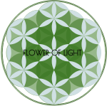 FLOWER OF LIGHT