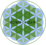 FLOWER OF LIGHT