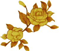 Yellow Flowers
