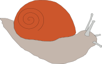 snail1