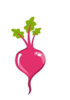 Beterraba Beets