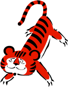 KoTiger