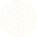 flower of light