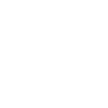 Flower of Light 1