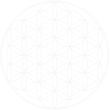 SVG Flower of Light