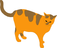 cat
