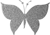 Monochromatic Tiled Butterfly