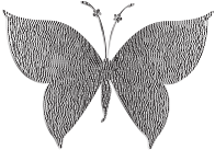 Monochromatic Tiled Butterfly 2