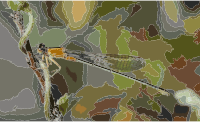 Ischnura senegalensis August 2008