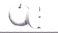 halftone apple 13