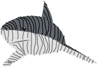Tiger Shark (Beast Of The Seas)
