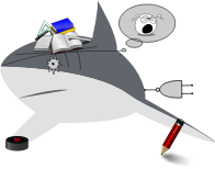 WHAT A SHARK