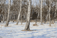 Birchwood Slavnoe 2012 G1
