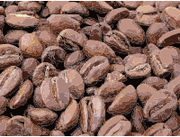 Roasted coffee beans