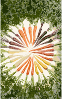Carrots of many colors