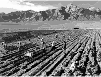 Ansel Adams - Farm workers and Mt. Williamson