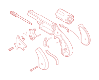 Exploded gun