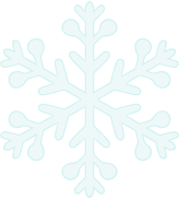 Snowflake 11