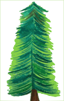 Transparent Background Christmas Tree COLOR