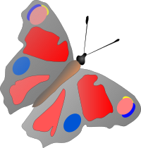 butterfly