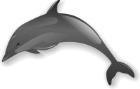 Dolphin