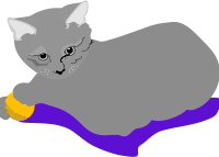 Architetto -- Gattina