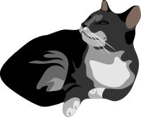Architetto -- Gatto