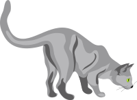 Architetto -- Gatto 02
