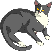 Architetto -- Gatto 03