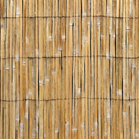 Cane fence