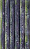 Mossy planks