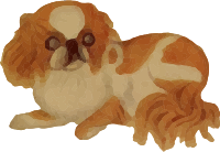 Dog 10