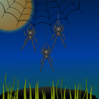 Ninja Spiders