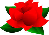 Insomniac Rose
