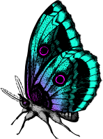 Butterfly 18 (colour 2)