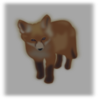 zorro (fox)