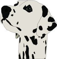dalmatin head